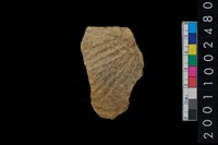 藏品(繩紋腹片)的圖片