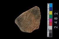 藏品(繩紋腹片)的圖片