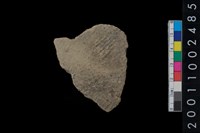 藏品(繩紋腹片)的圖片