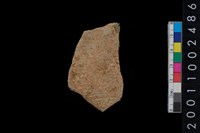 藏品(繩紋腹片)的圖片