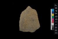 藏品(繩紋腹片)的圖片