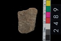 藏品(繩紋腹片)的圖片