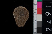 藏品(繩紋腹片)的圖片