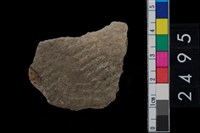 藏品(繩紋腹片)的圖片