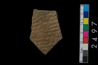 藏品(繩紋腹片)的圖片