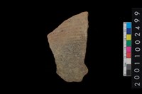 藏品(繩紋腹片)的圖片