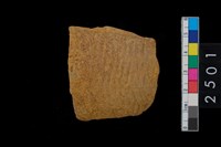 藏品(繩紋腹片)的圖片