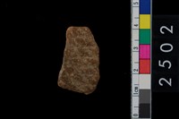 藏品(繩紋腹片)的圖片