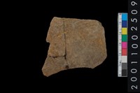 藏品(繩紋腹片)的圖片