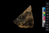 藏品(繩紋腹片)的圖片