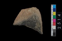 藏品(繩紋腹片)的圖片