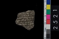 藏品(繩紋腹片)的圖片