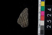 藏品(繩紋腹片)的圖片