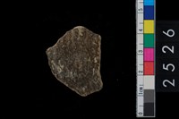 藏品(繩紋腹片)的圖片