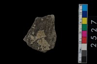 藏品(繩紋腹片)的圖片