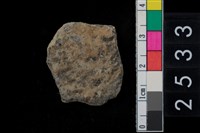 藏品(繩紋腹片)的圖片