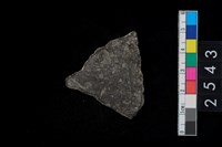 藏品(繩紋腹片)的圖片