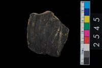 藏品(繩紋腹片)的圖片