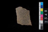 藏品(繩紋腹片)的圖片