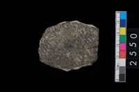 藏品(繩紋腹片)的圖片