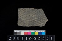 藏品(繩紋腹片)的圖片