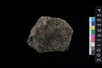 藏品(繩紋腹片)的圖片