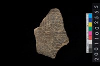 藏品(繩紋腹片)的圖片