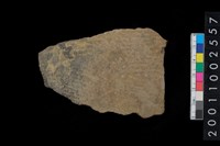 藏品(繩紋腹片)的圖片