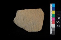 藏品(繩紋腹片)的圖片