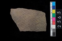 藏品(繩紋腹片)的圖片