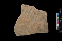 藏品(繩紋腹片)的圖片