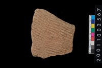 藏品(繩紋腹片)的圖片