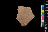 藏品(繩紋腹片)的圖片