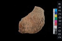 藏品(繩紋腹片)的圖片