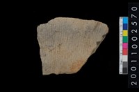 藏品(繩紋腹片)的圖片