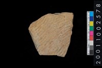 藏品(繩紋腹片)的圖片