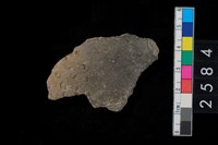 藏品(圈印紋腹片)的圖片