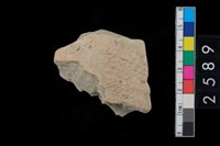 藏品(繩紋腹片)的圖片