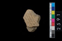 藏品(繩紋腹片)的圖片