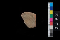 藏品(繩紋腹片)的圖片