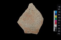 藏品(陶器底部)的圖片