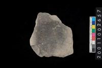 藏品(陶器底部)的圖片