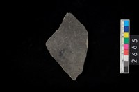 藏品(陶器底部)的圖片