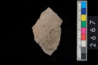 藏品(陶器底部)的圖片