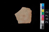 藏品(腹片)的圖片