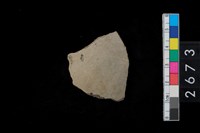 藏品(腹片)的圖片