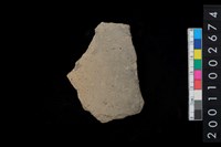 藏品(腹片)的圖片