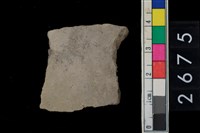 藏品(腹片)的圖片