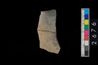 藏品(腹片)的圖片