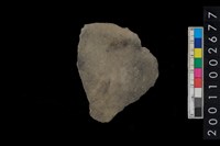 藏品(腹片)的圖片